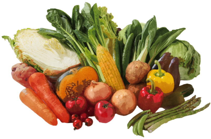 いばベジスタイル|いばべじすたいる|イバベジスタイル