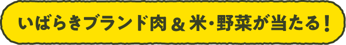 いばらきブランド肉&米・野菜が当たる!